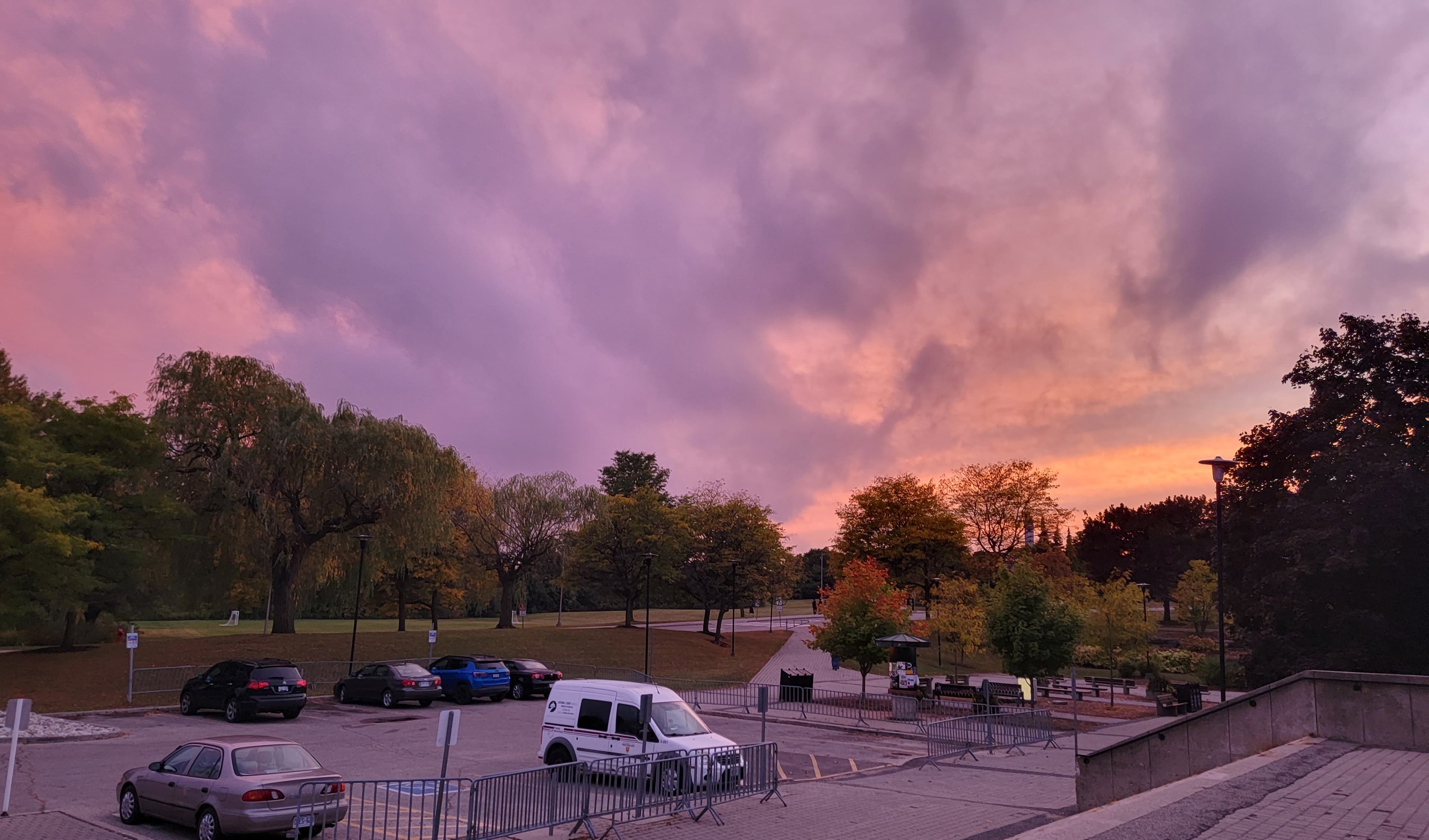 uw-aesthetic